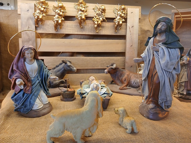 No s'ha trobat l'arxiu